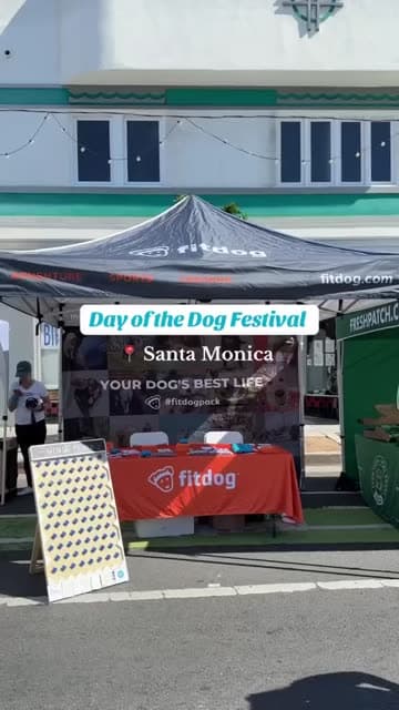 Fitdog team care moment with a dog in Santa Monica
